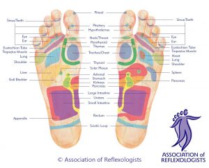 By stimulating the reflex points on the feet, reflexologists can help to promote balance and healing in the body
